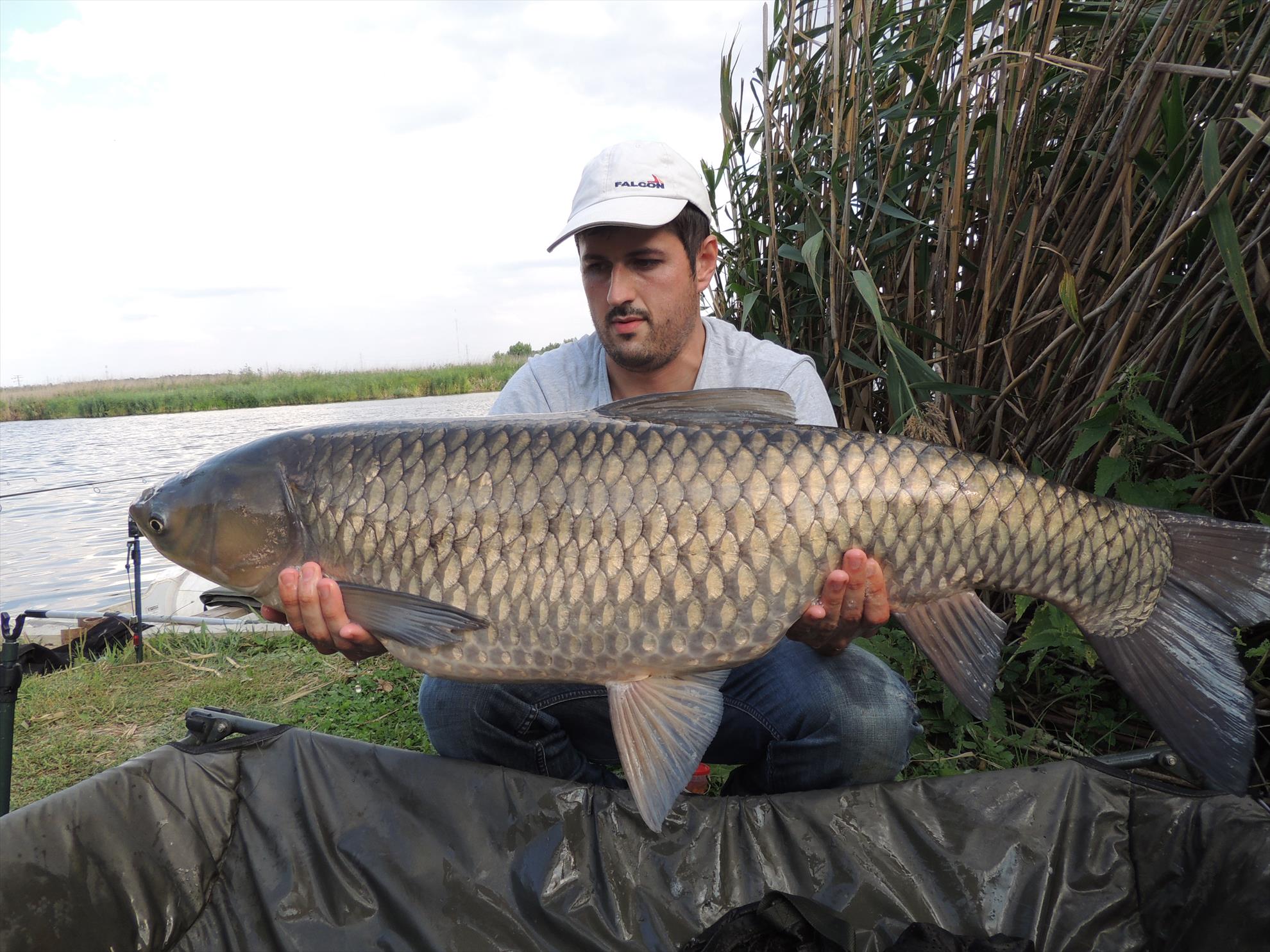 Tancabesti 12 - 14 sep. - 13 kg